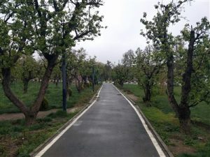 پارک خانواده کرج